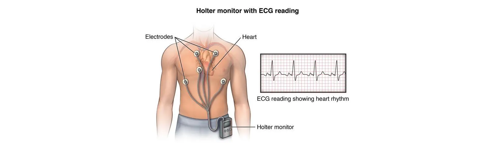 Diagnostic and Imaging Centre with Holter Monitoring Facility